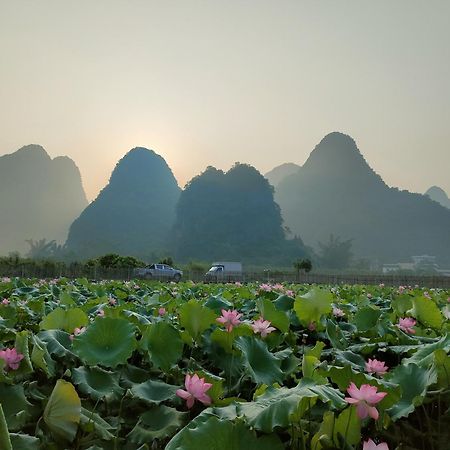 בית הארחה Yangshuo Tea Cozy מראה חיצוני תמונה