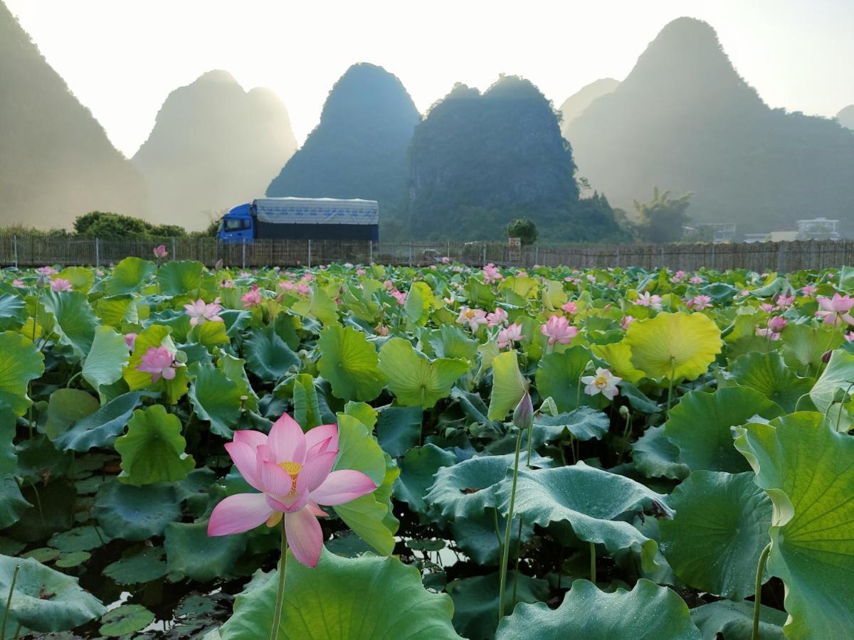 בית הארחה Yangshuo Tea Cozy מראה חיצוני תמונה