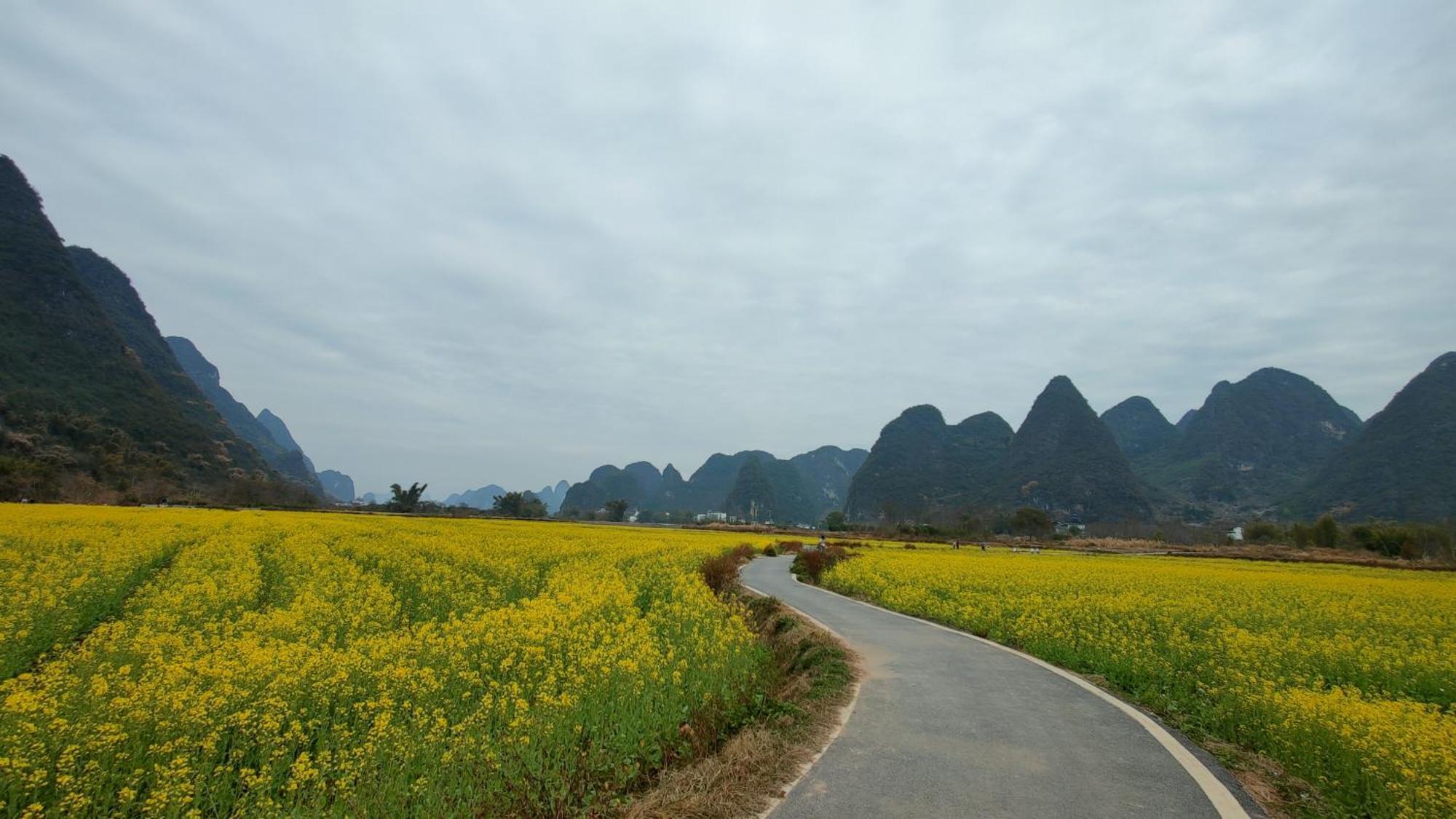 בית הארחה Yangshuo Tea Cozy מראה חיצוני תמונה